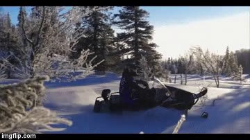 3r9p81 (1).mp4